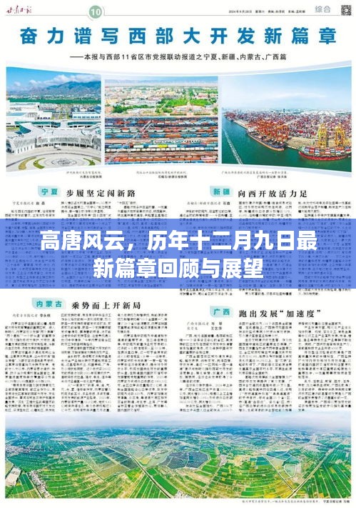 金石为开 第3页