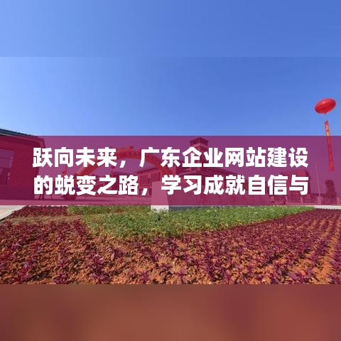 广东企业网站建设蜕变之路，跃向未来，学习铸就自信辉煌之路
