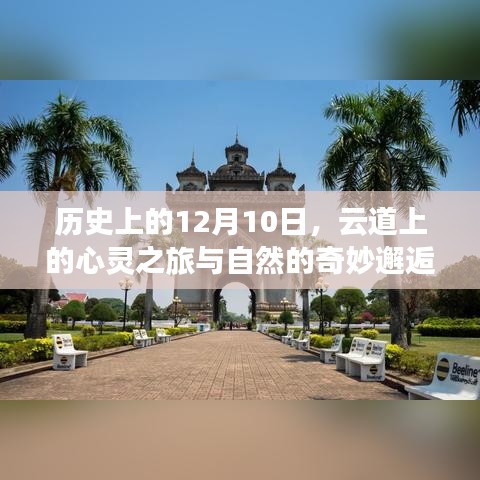 花枝招展 第4页