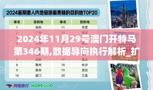 2024年11月29号澳门开特马第346期,数据导向执行解析_扩展版3.458