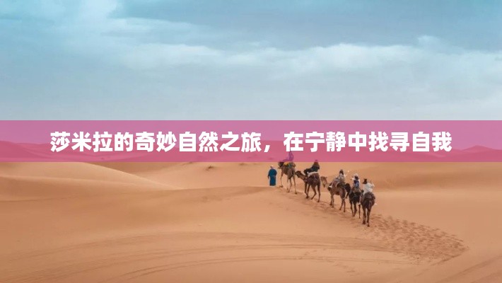 集腋成裘 第3页