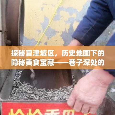 探秘夏津城区隐秘美食宝藏，巷子深处特色小店的奇遇之旅
