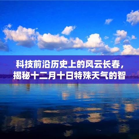 漫天飞舞 第4页