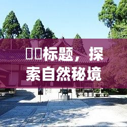 手不释卷 第3页
