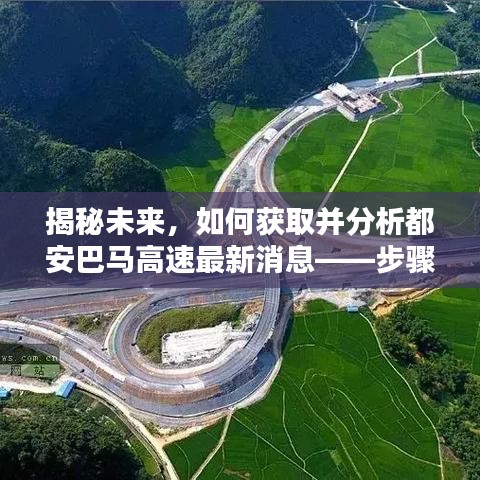 鸟骇鼠窜 第3页