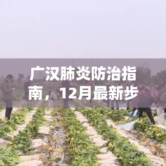 广汉肺炎防治指南，初学者进阶全攻略，最新步骤详解（12月版）