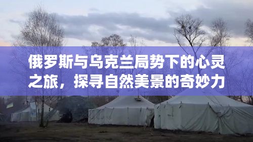 飞扬拨扈 第4页