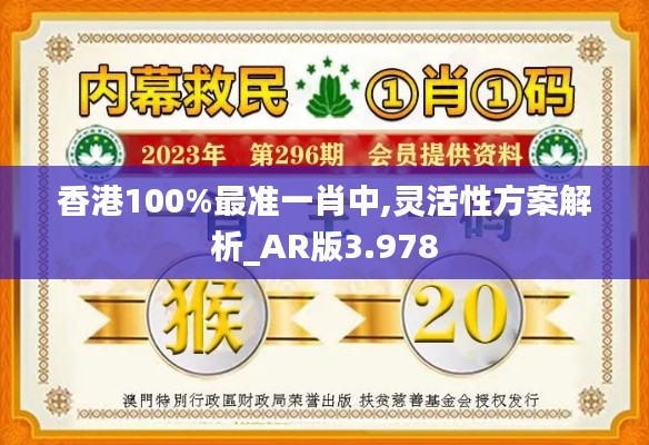 香港100%最准一肖中,灵活性方案解析_AR版3.978
