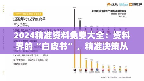 2024精准资料免费大全：资料界的“白皮书”，精准决策从这里开始