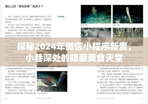 探秘微信小程序新贵，小巷深处的隐藏美食天堂，揭秘2024年美食潮流风向标