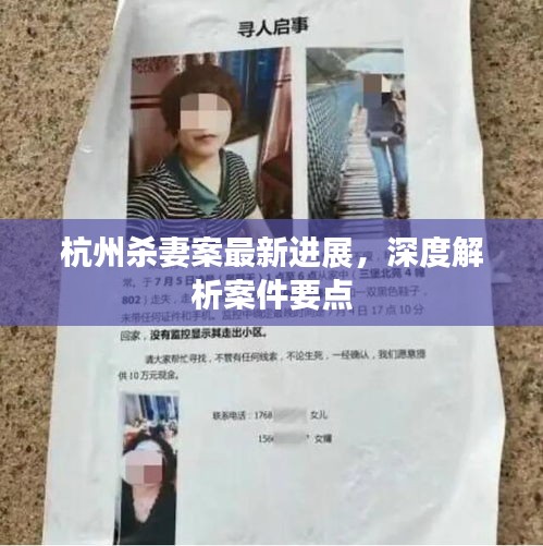 杭州杀妻案最新进展深度剖析，案件要点解析