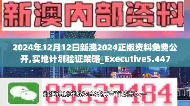 2024年12月12日新澳2024正版资料免费公开,实地计划验证策略_Executive5.447