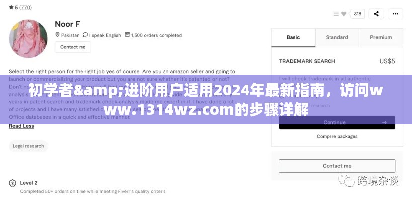 初学者与进阶用户指南，2024年最新访问www.1314wz.com步骤详解