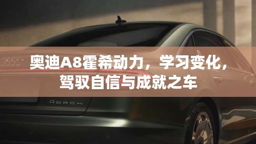 奥迪A8霍希动力，驾驭自信，成就非凡之车的学习之旅