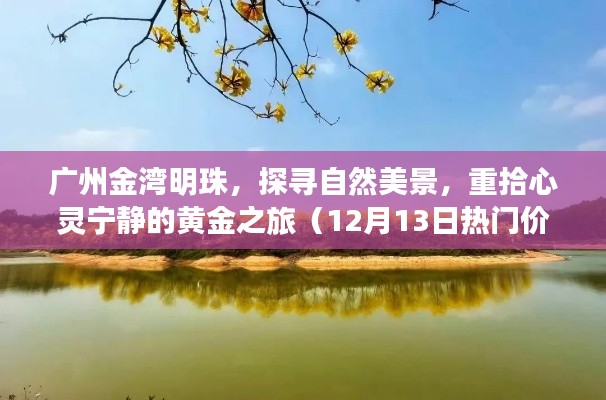 粗茶淡饭 第3页