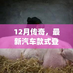 12月传奇，最新汽车款式引领时尚潮流重磅登场