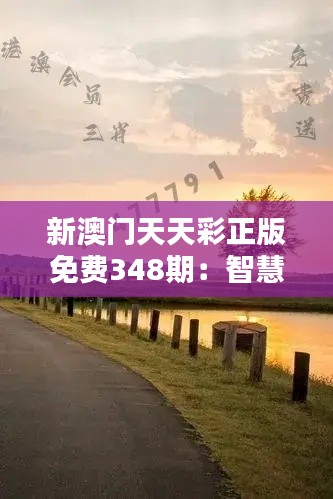 新澳门天天彩正版免费348期：智慧与策略的完美结晶