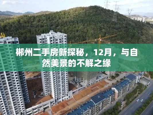 郴州二手房市场揭秘，与自然美景相伴的冬季购房之旅