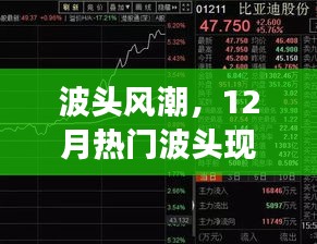 波头风潮，深度解析12月热门波头现象与个人观点分享
