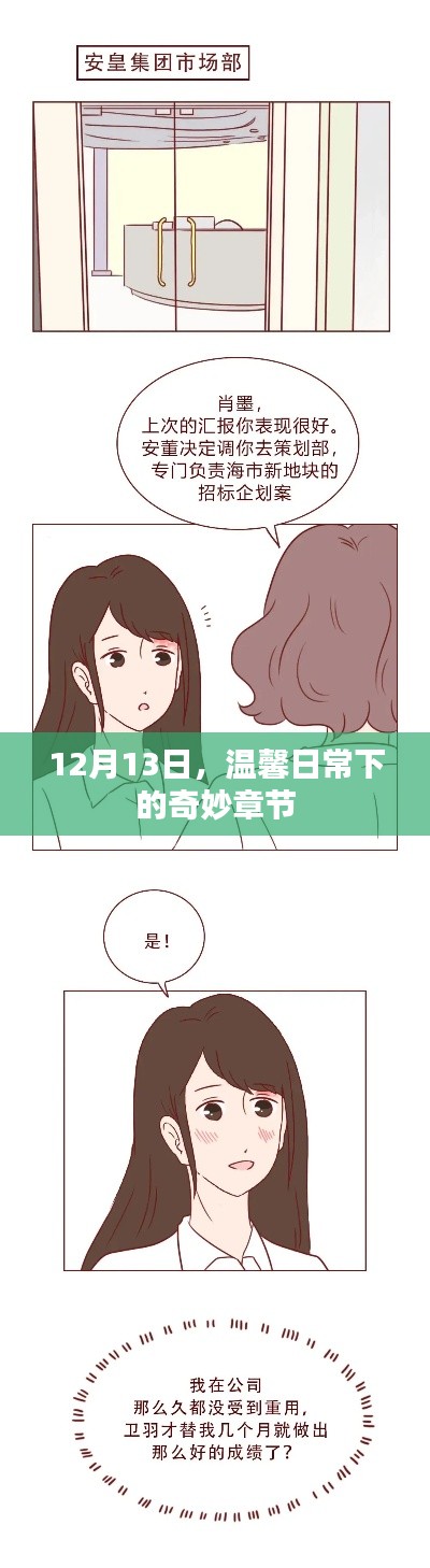 温馨日常下的奇妙章节，12月13日的惊喜