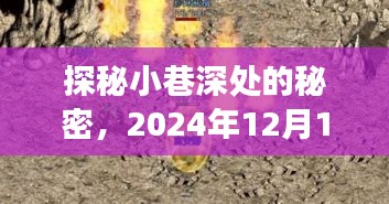 探秘小巷深处的秘密，隐藏者风尚小店的新风尚之旅（2024年12月13日）