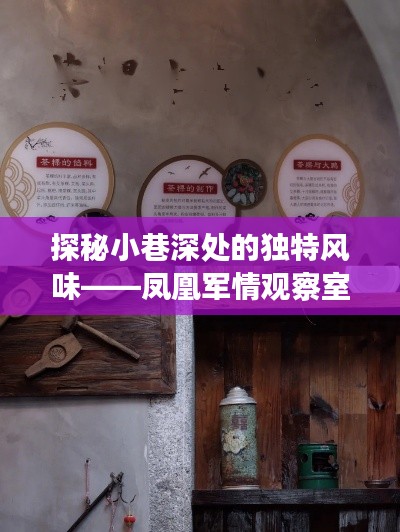 探秘小巷深处的独特风味，凤凰军情观察室带你探寻最新特色小店风采