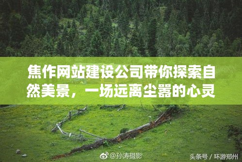 焦作网站建设公司引领的自然美景探索之旅，心灵远离尘嚣的宁静之旅