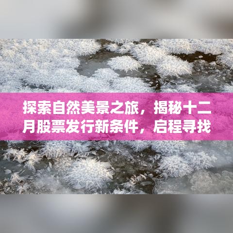 揭秘新股票发行条件，启程探索自然美景与内心平静之旅