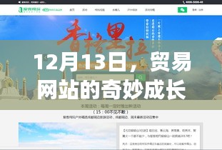 贸易网站的奇妙成长之旅，探寻成功之路的启示（12月13日）