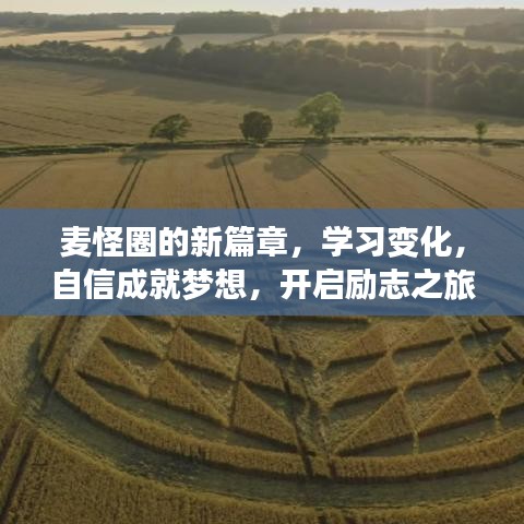 坚持不懈 第3页