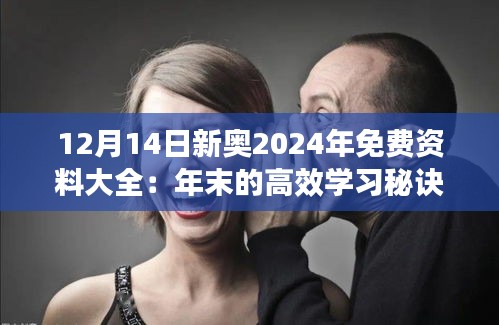 12月14日新奥2024年免费资料大全:年末的高效学习秘诀