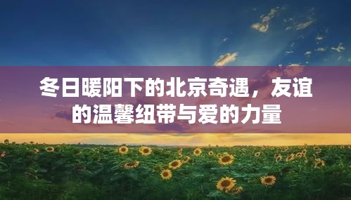 降贵纡尊 第3页