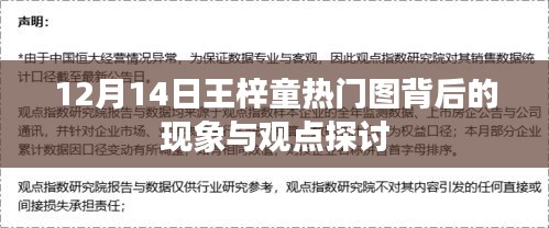 王梓童热门图现象背后的深度探讨与观点分析