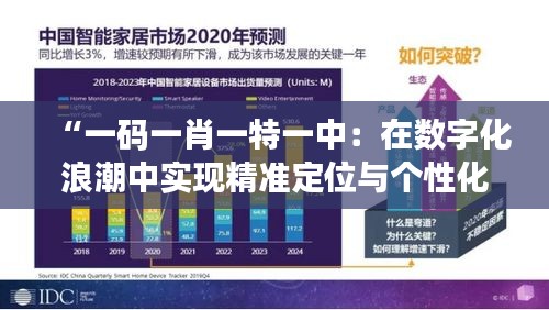 “一码一肖一特一中：在数字化浪潮中实现精准定位与个性化服务”