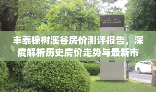 丰泰橡树溪谷房价测评报告，深度解析房价走势与市场动态