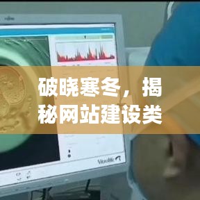 破晓寒冬，揭秘网站建设行业洞察与深度洞察的洞察日（12月14日）