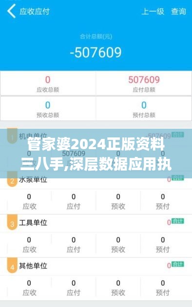 管家婆2024正版资料三八手,深层数据应用执行_pro10.554