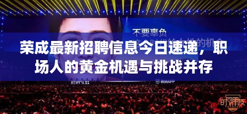 网站案例 第290页