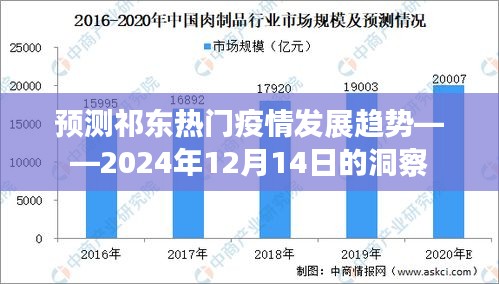 祁东疫情发展趋势预测，2024年12月洞察报告
