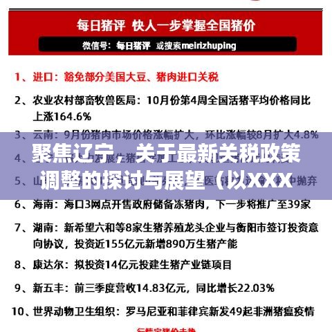 聚焦辽宁，最新关税政策调整探讨与展望（XXXX年XX月XX日版）