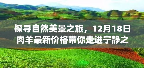 探寻自然美景之旅，宁静之地与肉羊最新价格揭秘