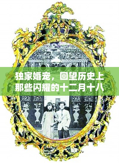 建站服务 第276页