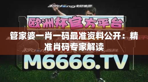 管家婆一肖一码最准资料公开：精准肖码专家解读