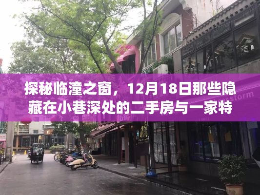 探秘临潼之窗，二手房与特色小店的小巷故事，12月18日揭秘日