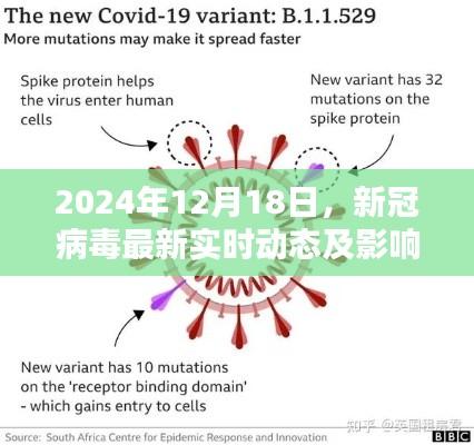 新冠病毒最新实时动态及影响分析（2024年12月18日更新）