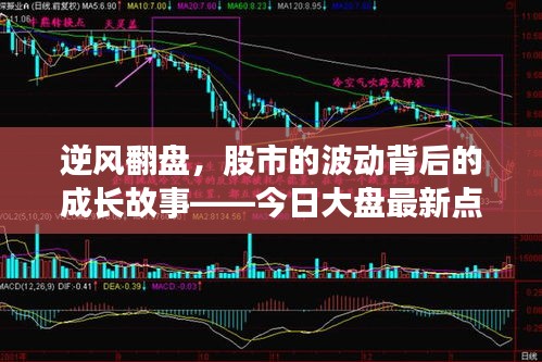 间不容发 第3页