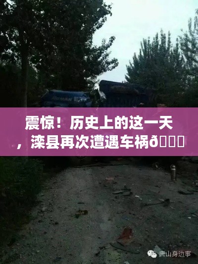 芒屩布衣 第3页