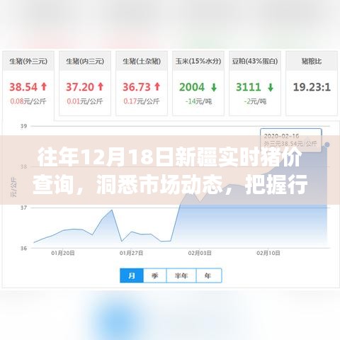 往年12月18日新疆实时猪价查询，洞悉市场动态，掌握行业趋势先机