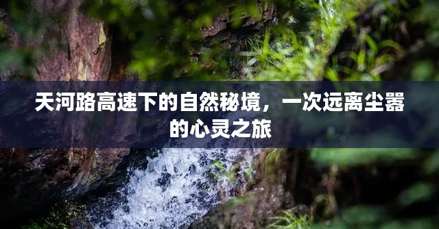 天河路高速下的自然秘境，心灵之旅的宁静之地