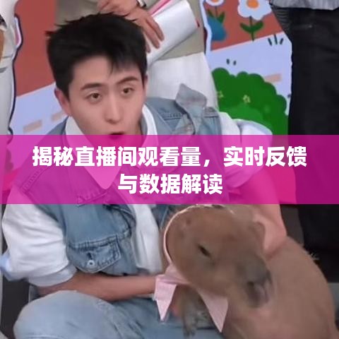 揭秘直播间观看量背后的秘密，实时反馈与数据解读之道